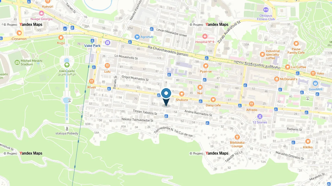 Расположение комплекса на карте — Park Home Vake