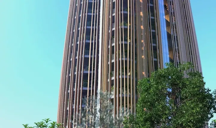 Domus Trees